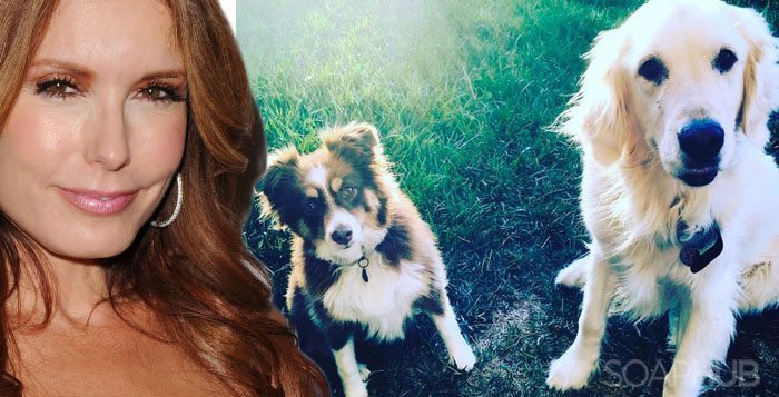 Tracey Bregman, The Young and the Restless, The Bold and the Beautiful, Days of Our Lives