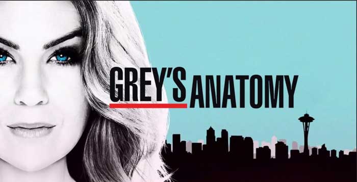 Grey's Anatomy