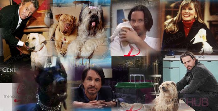 Soap Opera Pets March 4