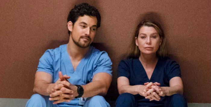 DeLuca Meredith Grey's Anatomy