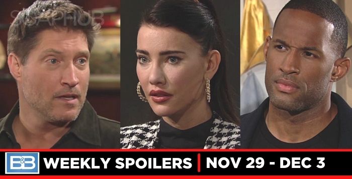 B&B spoilers for November 29 - December 3, 2021