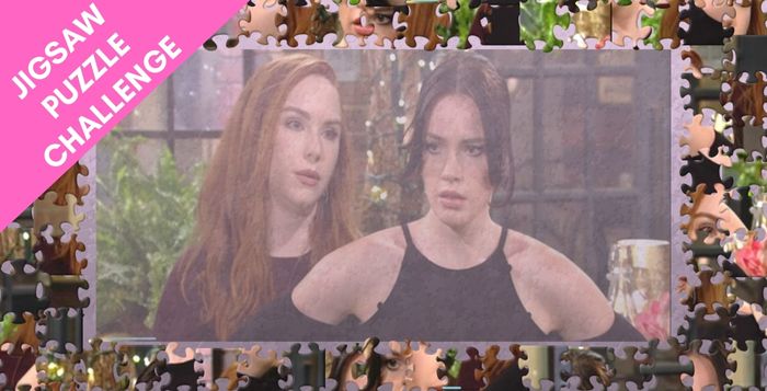 JIGSAW PUZZLE CHALLENGE (91)