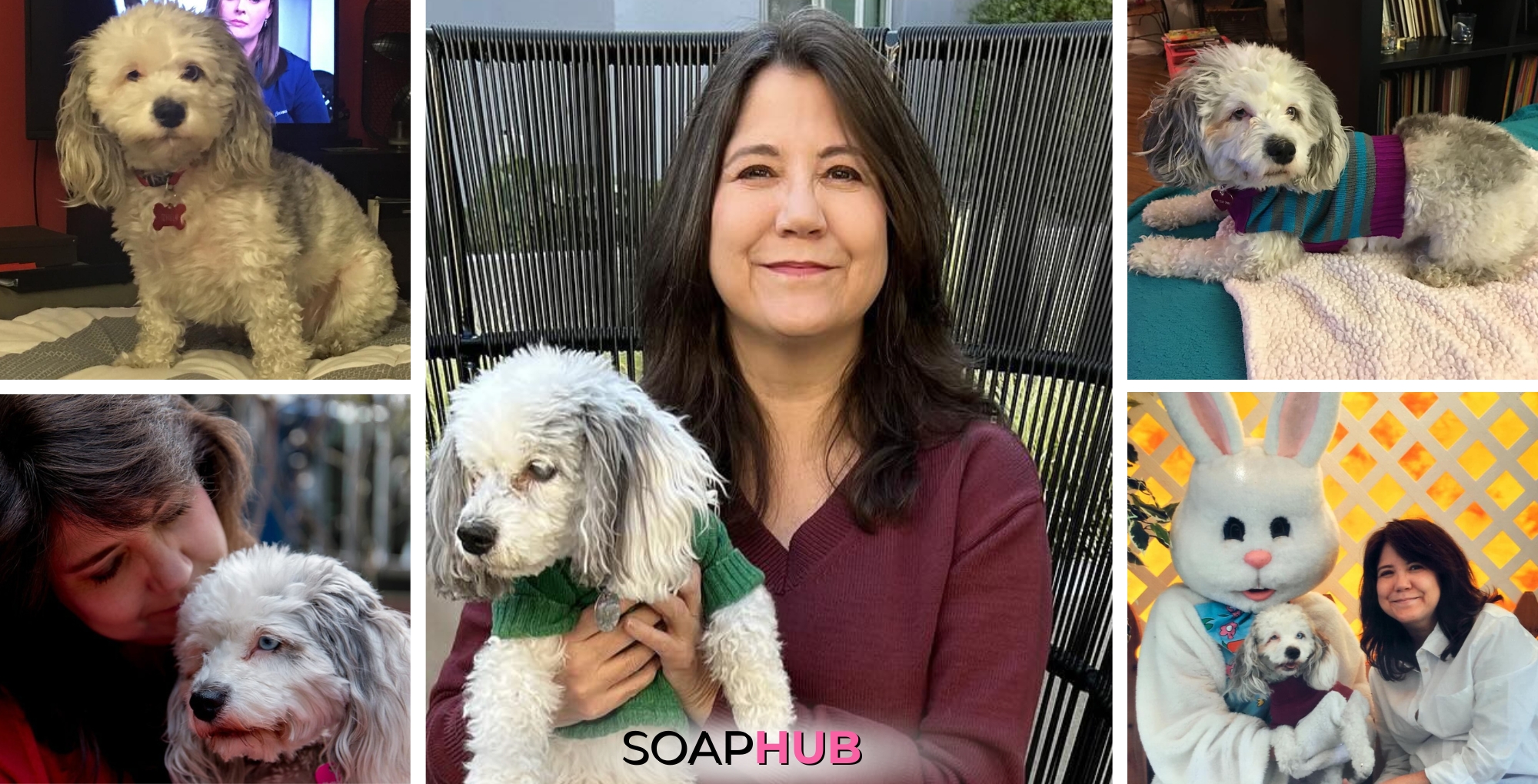 Collage of Days of our Lives star Julie Dove with her late dog and a Soap Hub logo across the bottom.