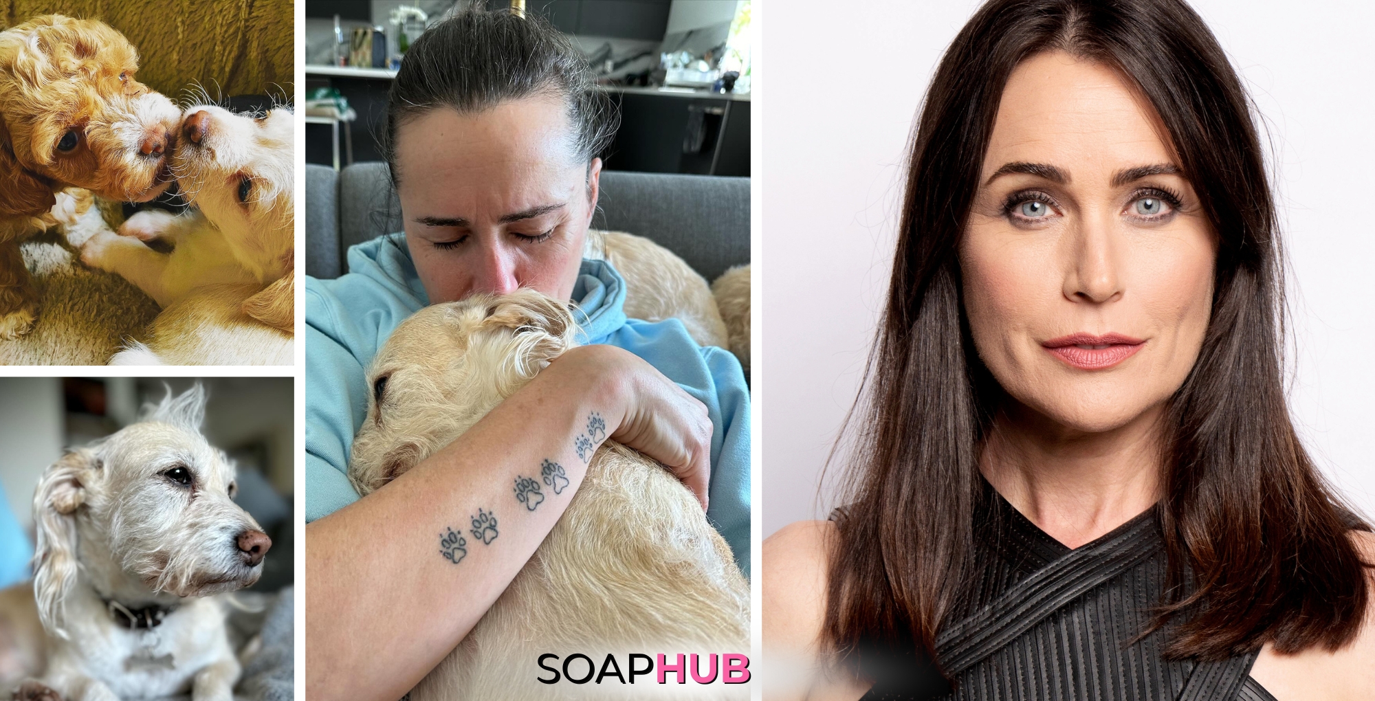 GH star Rena Sofer mourns dog Alfie