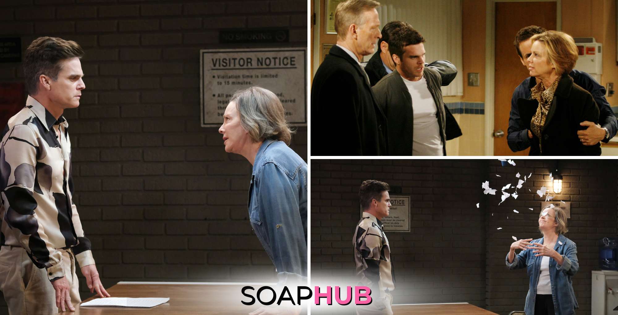 Days of our Lives and Young and the Restless Greg Rikaart and Judith Chapman with the Soap Hub logo.