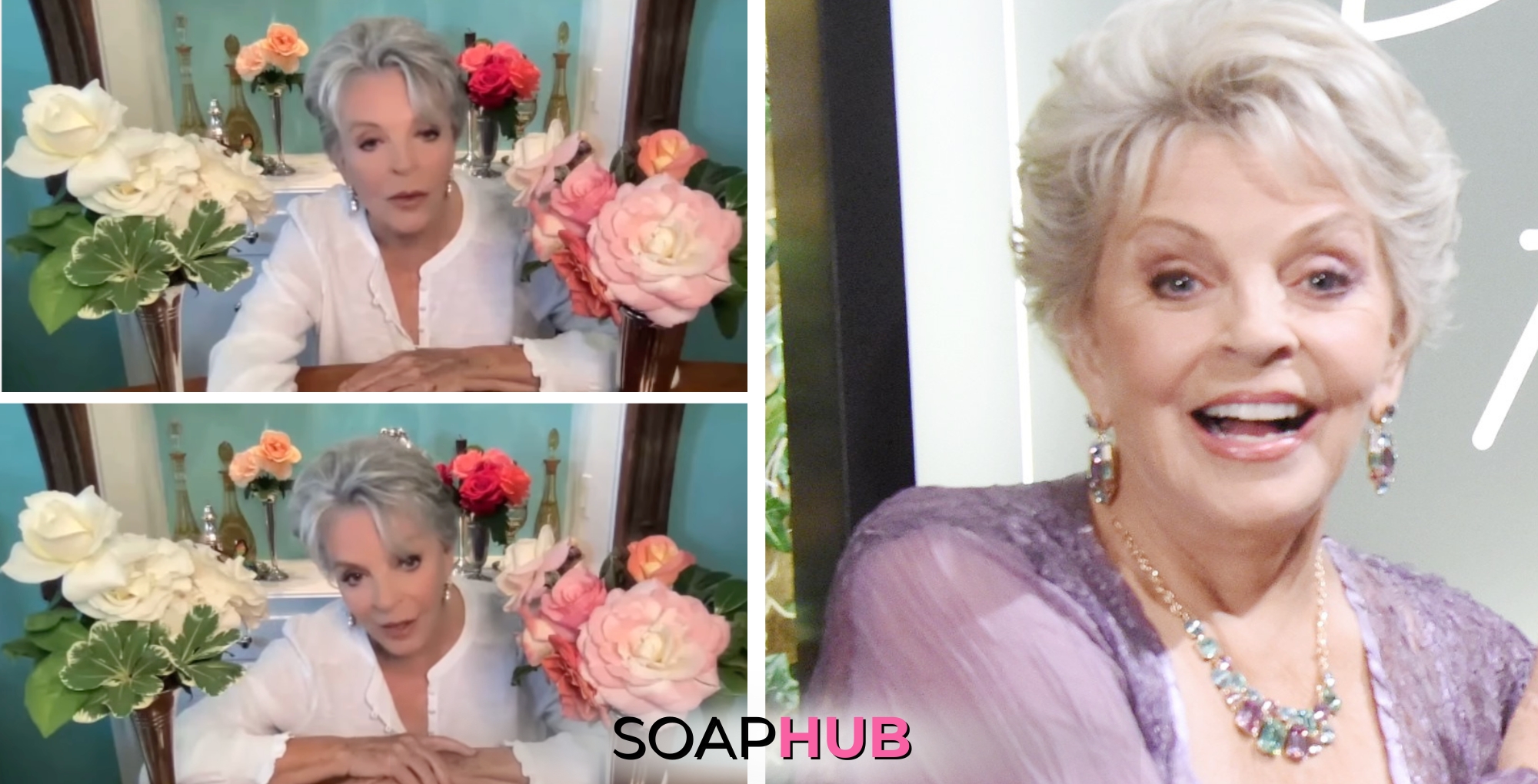 Susan Seaforth Hayes Soap Hub logo