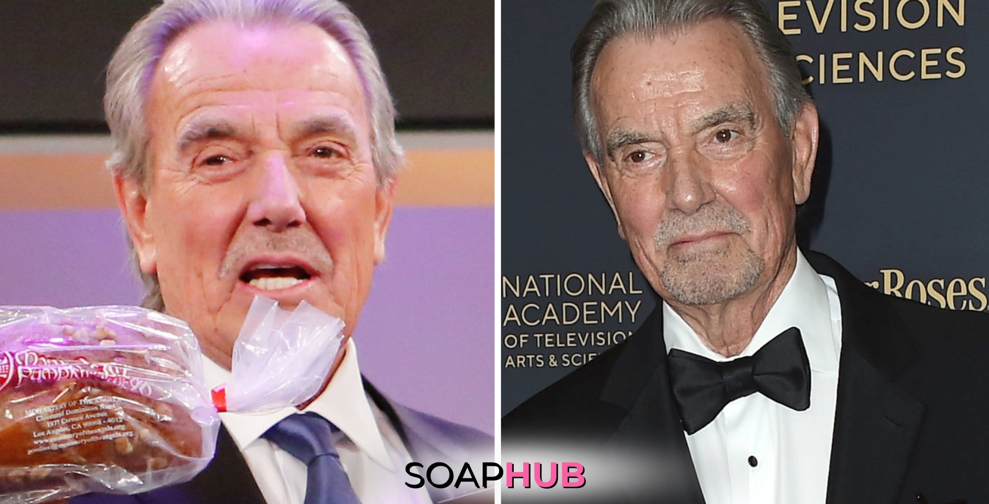 Eric Braeden Soap Hub logo