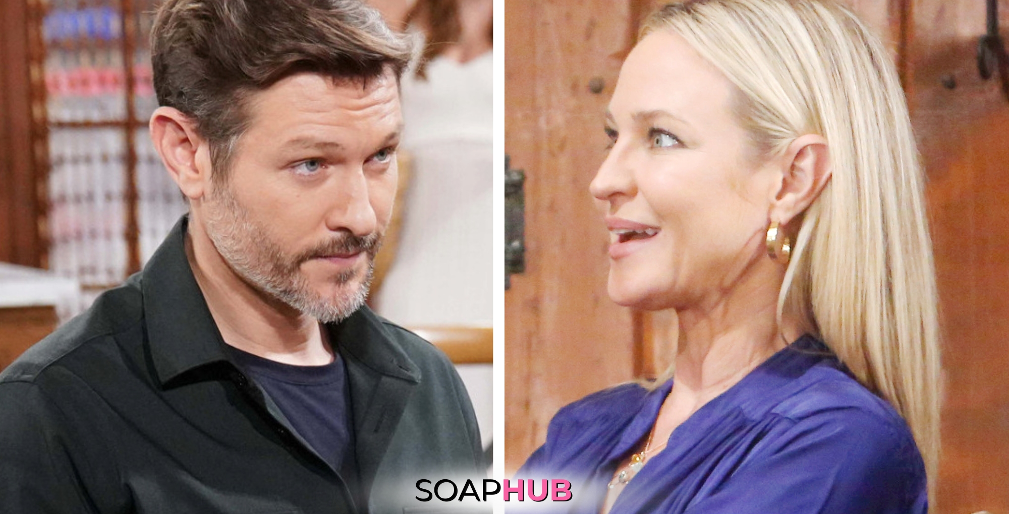 Image featuring Sharon and Daniel of The Young and the Restless, with Soap Hub logo near bottom