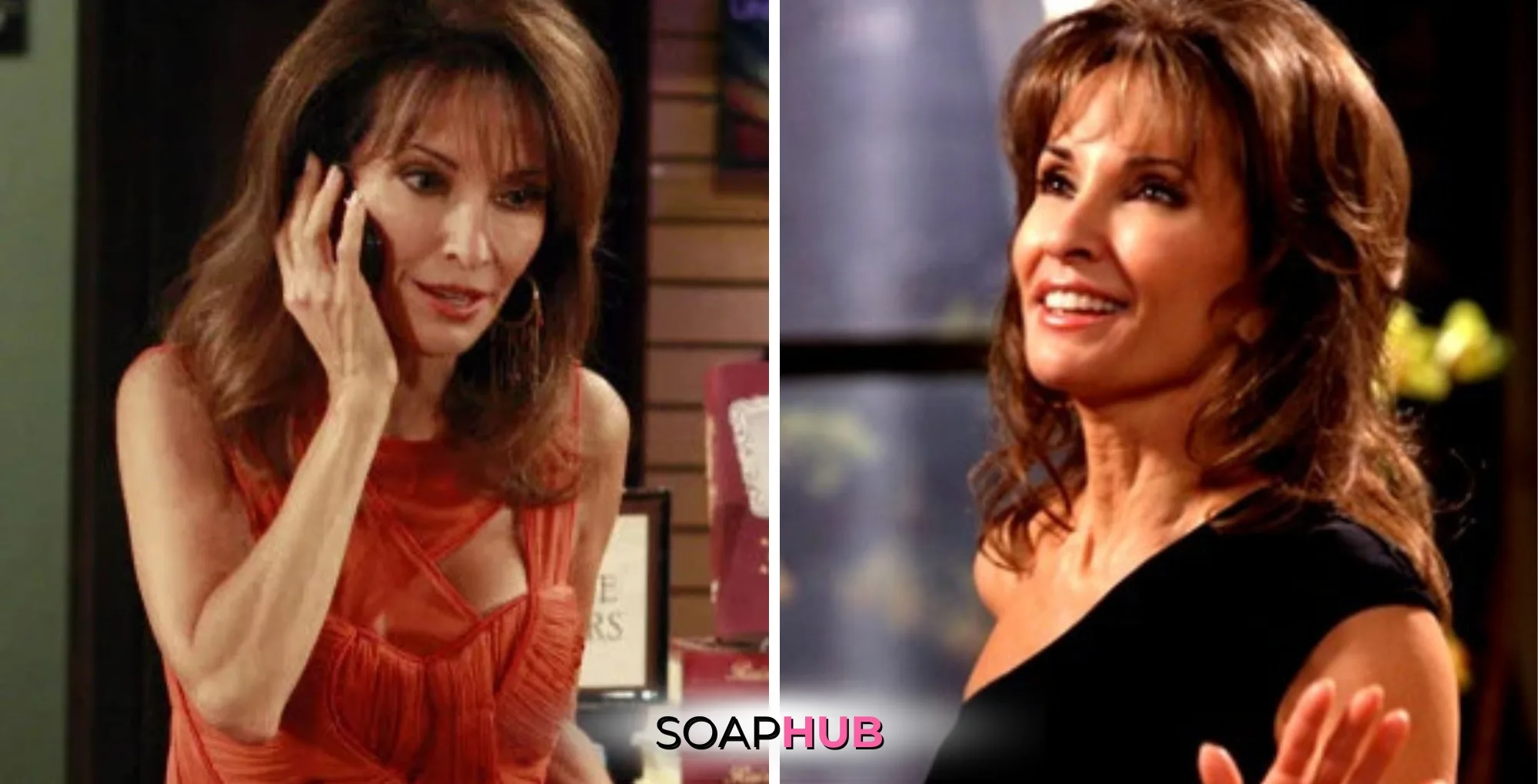 Erica Kane from All My Children with the Soap Hub logo across the bottom.