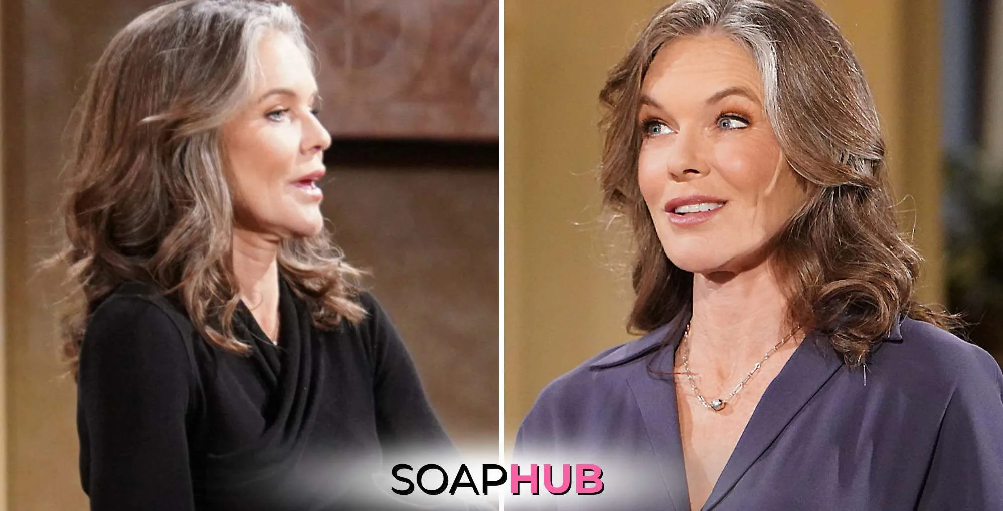 Young and the Restless Spoilers February 11 Diane with the Soap Hub logo.