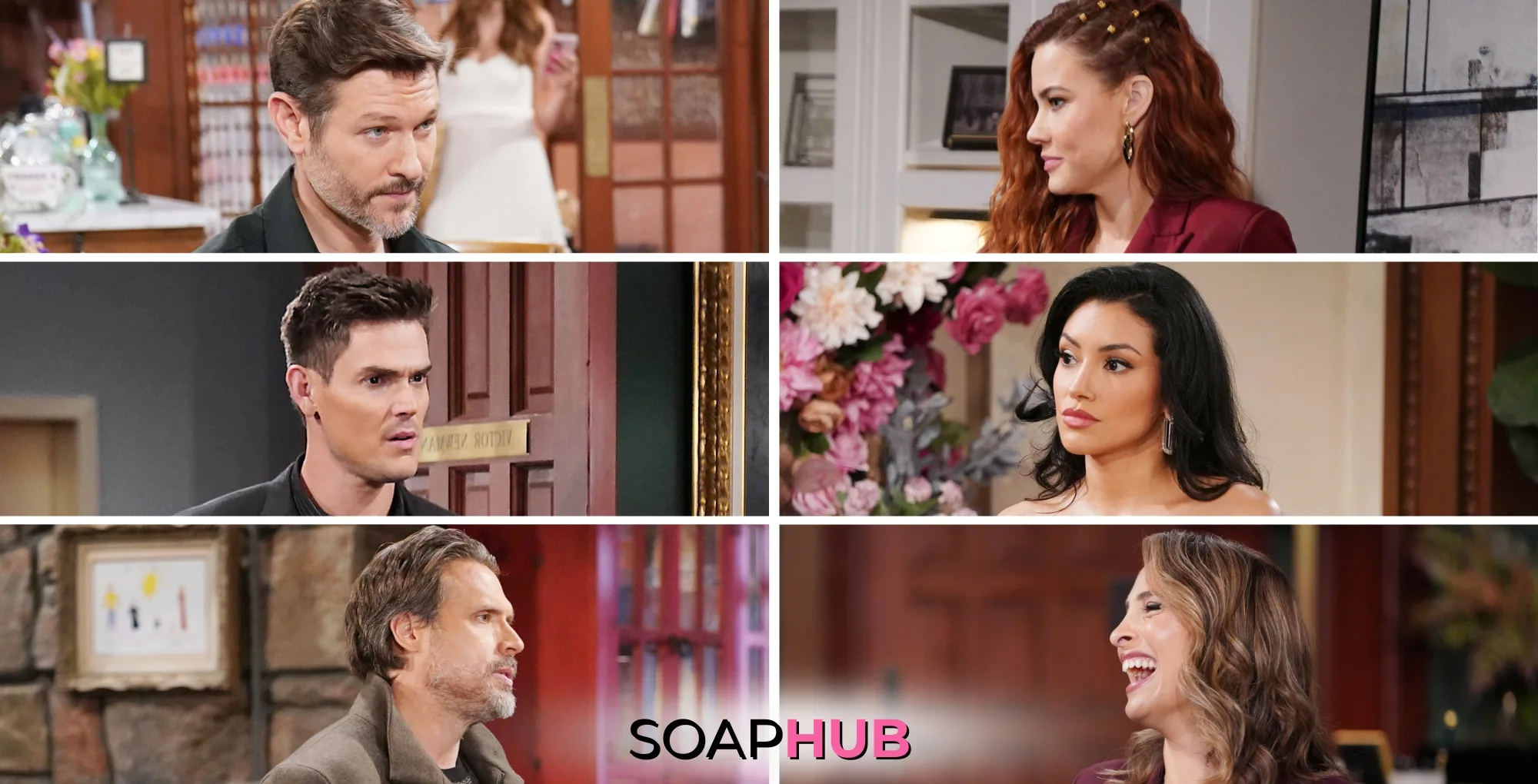 The Young and the Restless characters Daniel, Sally, Adam, Audra, Nick, and Lily; with the Soap Hub logo underneath.