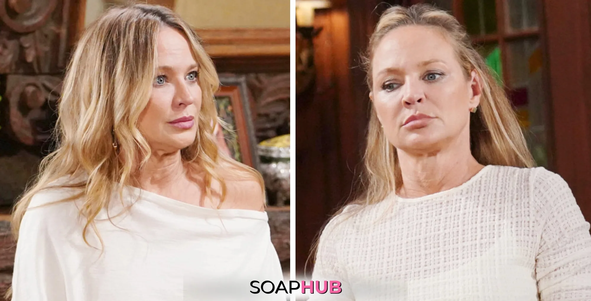 Young and Restless Spoilers February 12 Sharon with the Soap Hub logo.
