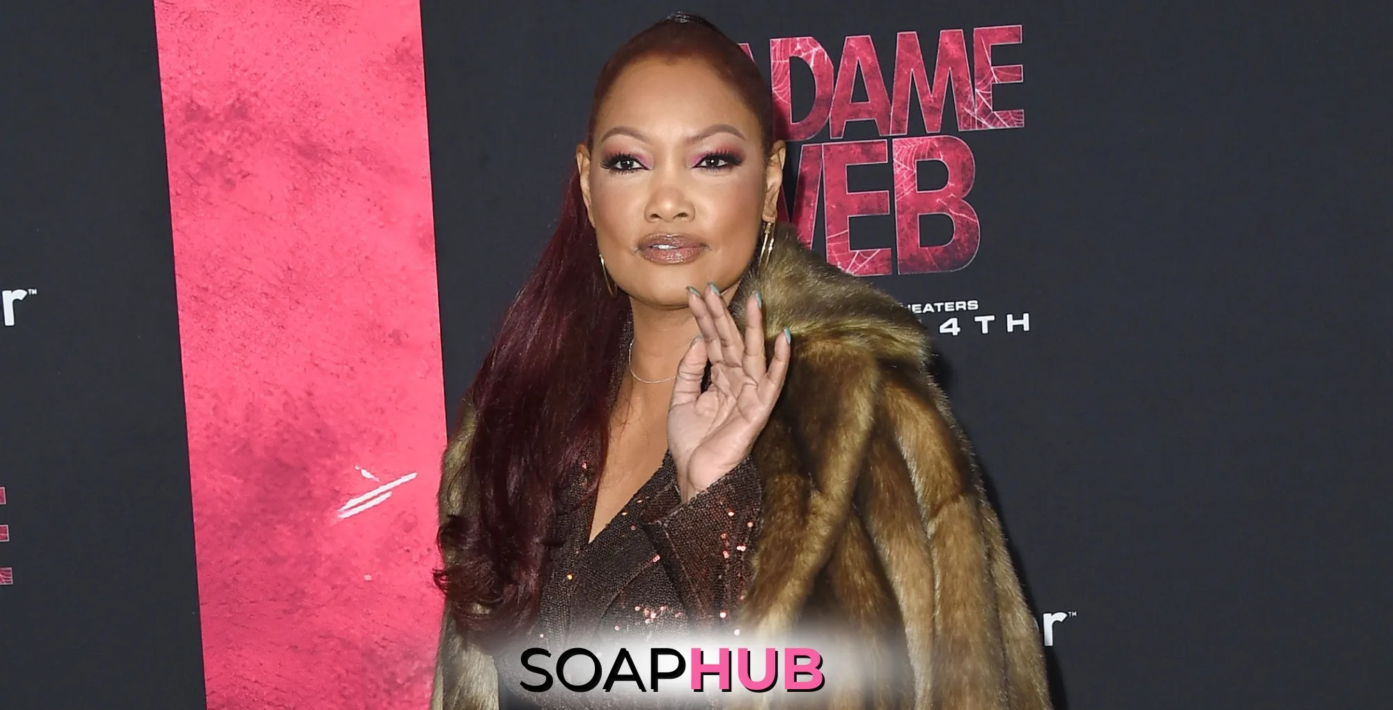 The Real Housewives of Beverly Hills Garcelle Beauvais shades co-stars with the Soap Hub logo.