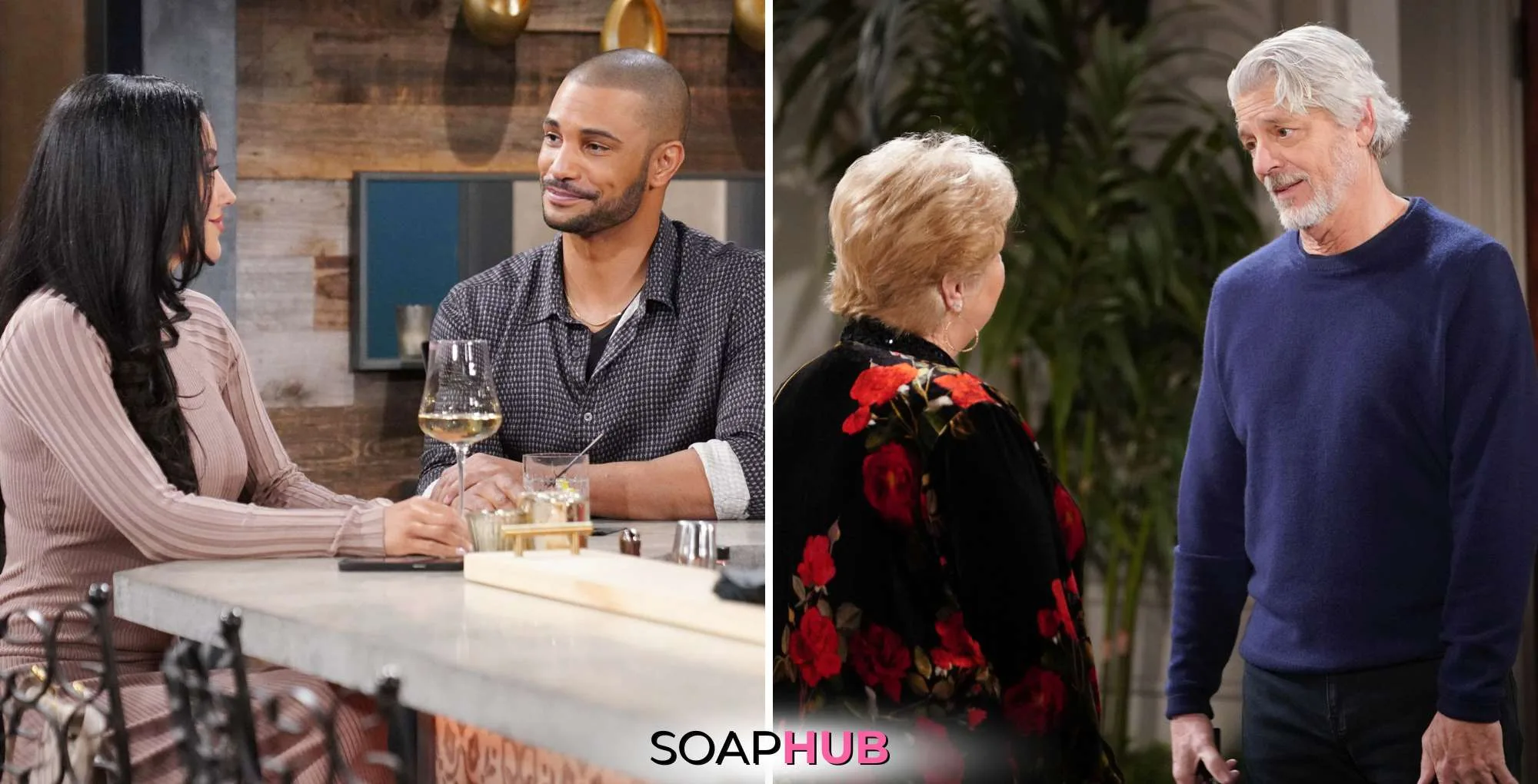 Weekly Young and the Restless Recap March 17 - 21 collage with the Soap Hub logo.