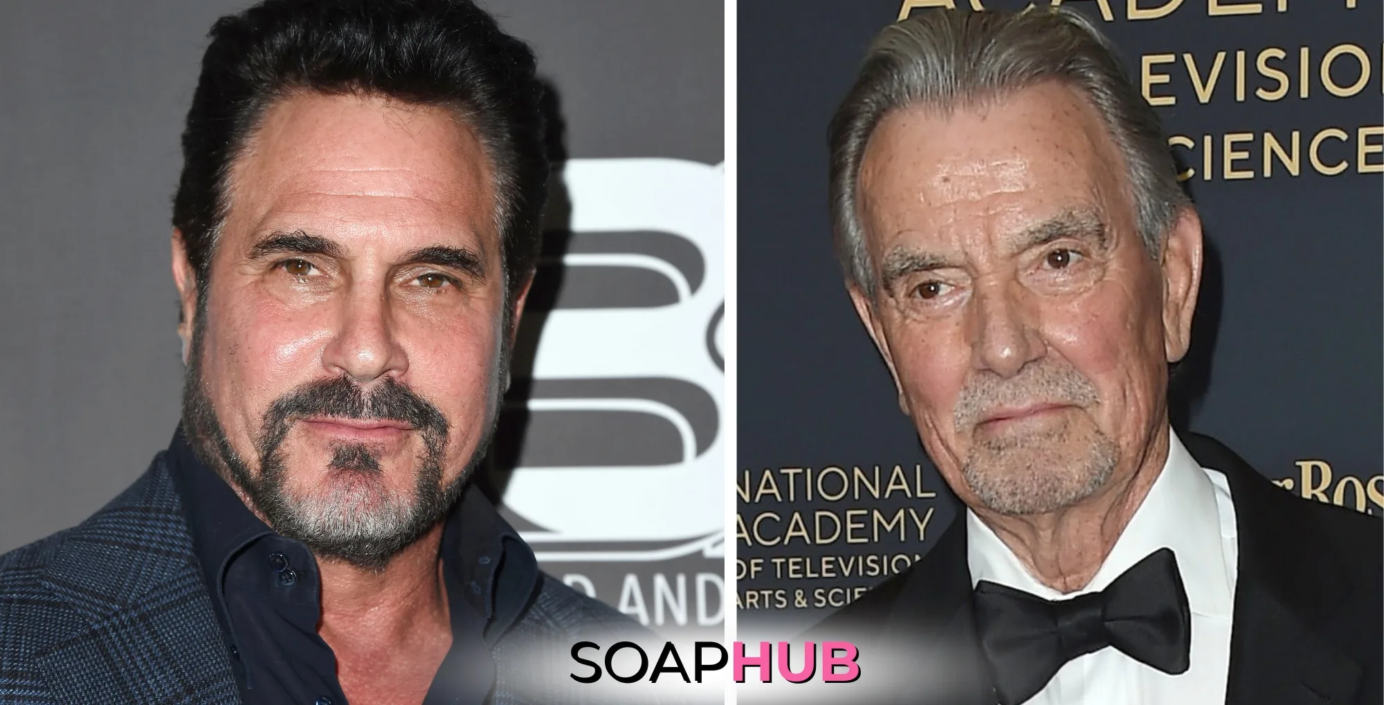 The Bold and the Beautiful's Don Diamont and The Young and the Restless' Eric Braeden with the Soap Hub logo across the bottom.
