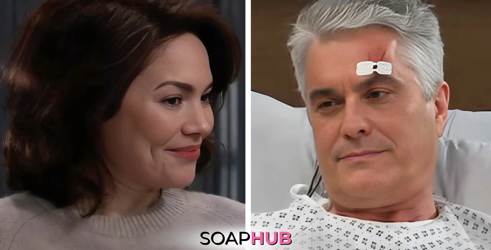 General Hospital Elizabeth and Ric with the Soap Hub logo