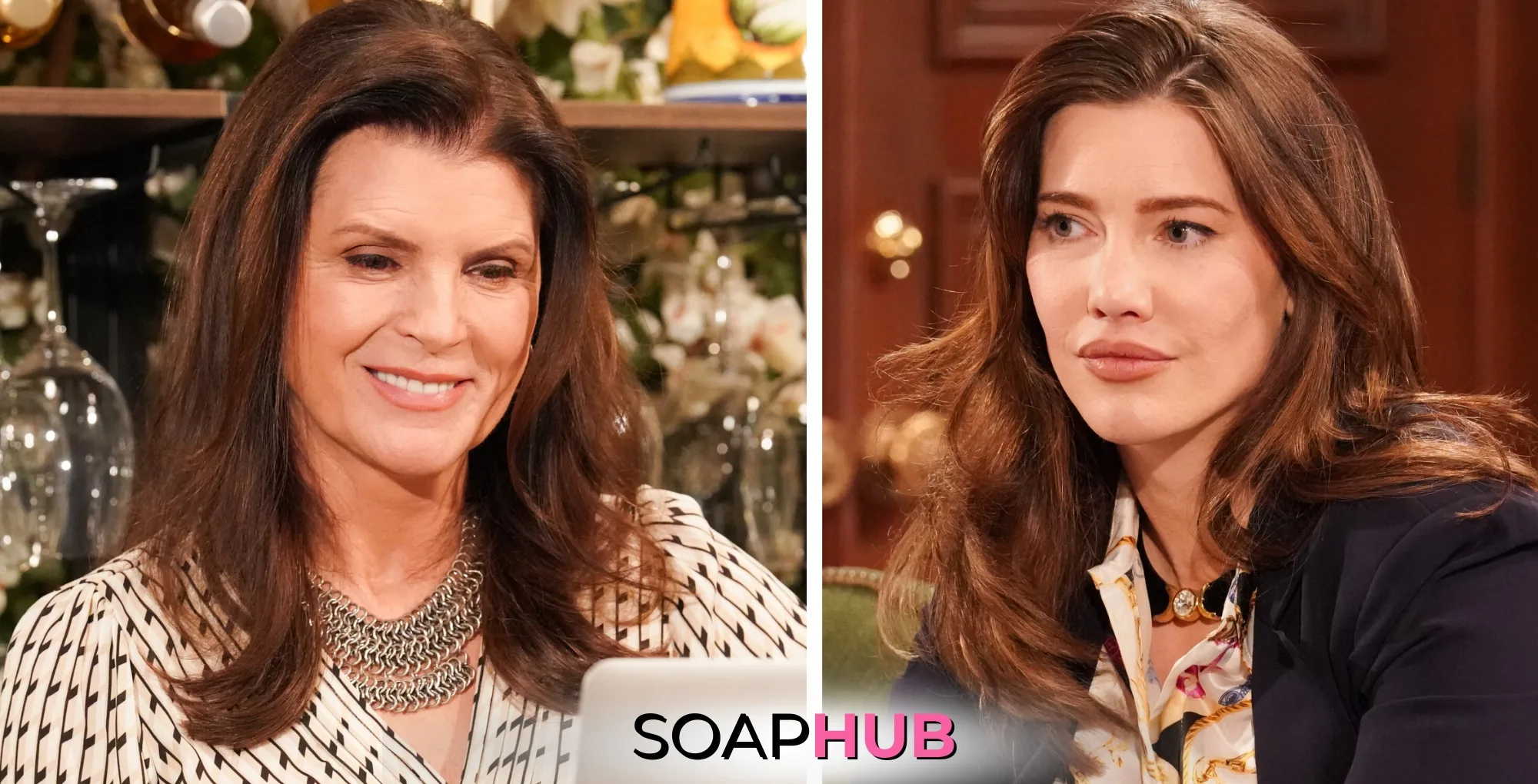 Bold and the Beautiful's Sheila save Steffy's life with the Soap Hub logo.