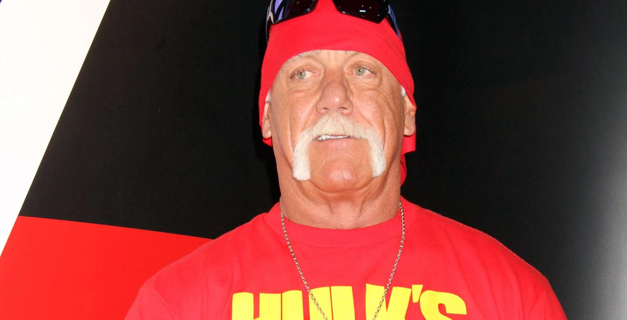 Hulk Hogan died.