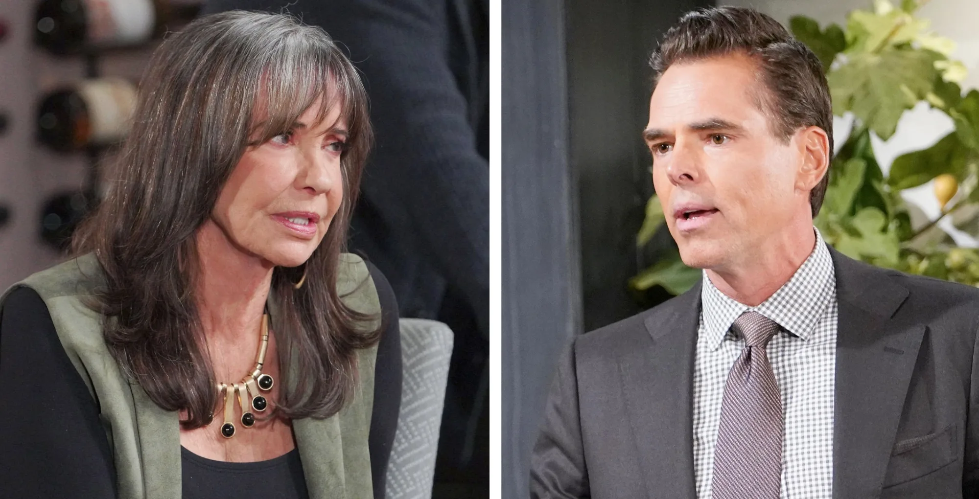 Young and the Restless Jill and Billy