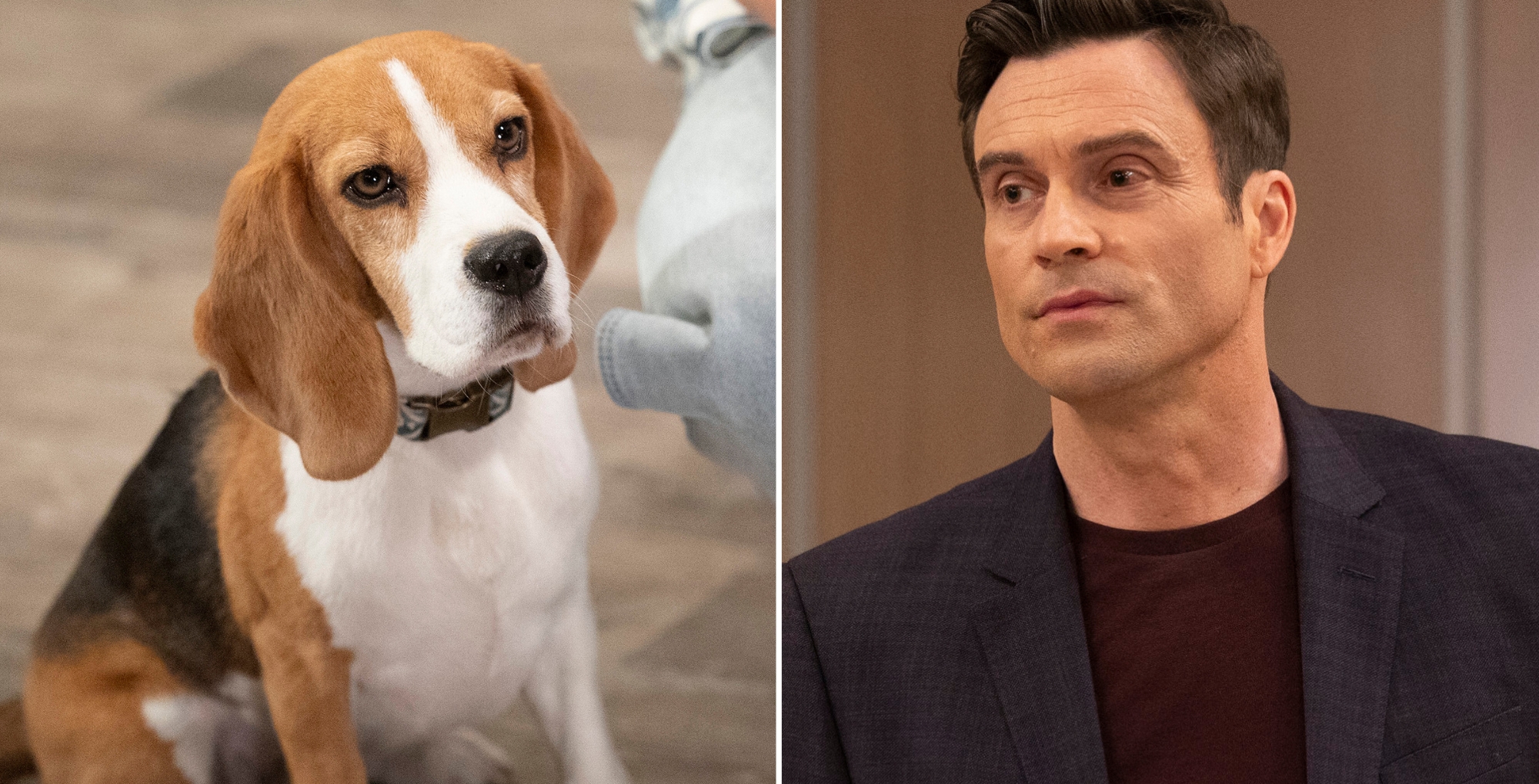 Outback and Dalton on General Hospital