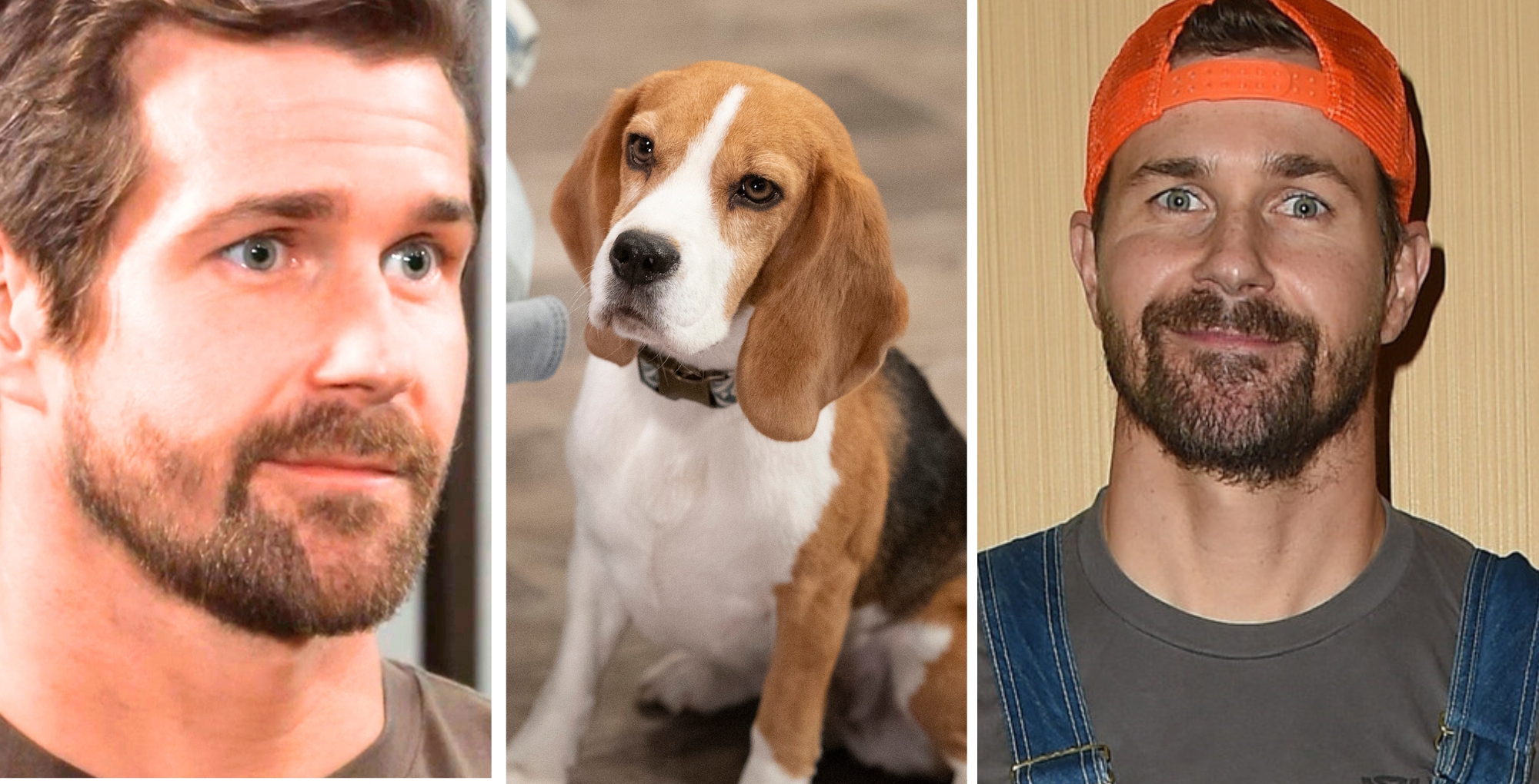Josh Kelly loves working with a dog on General Hospital.