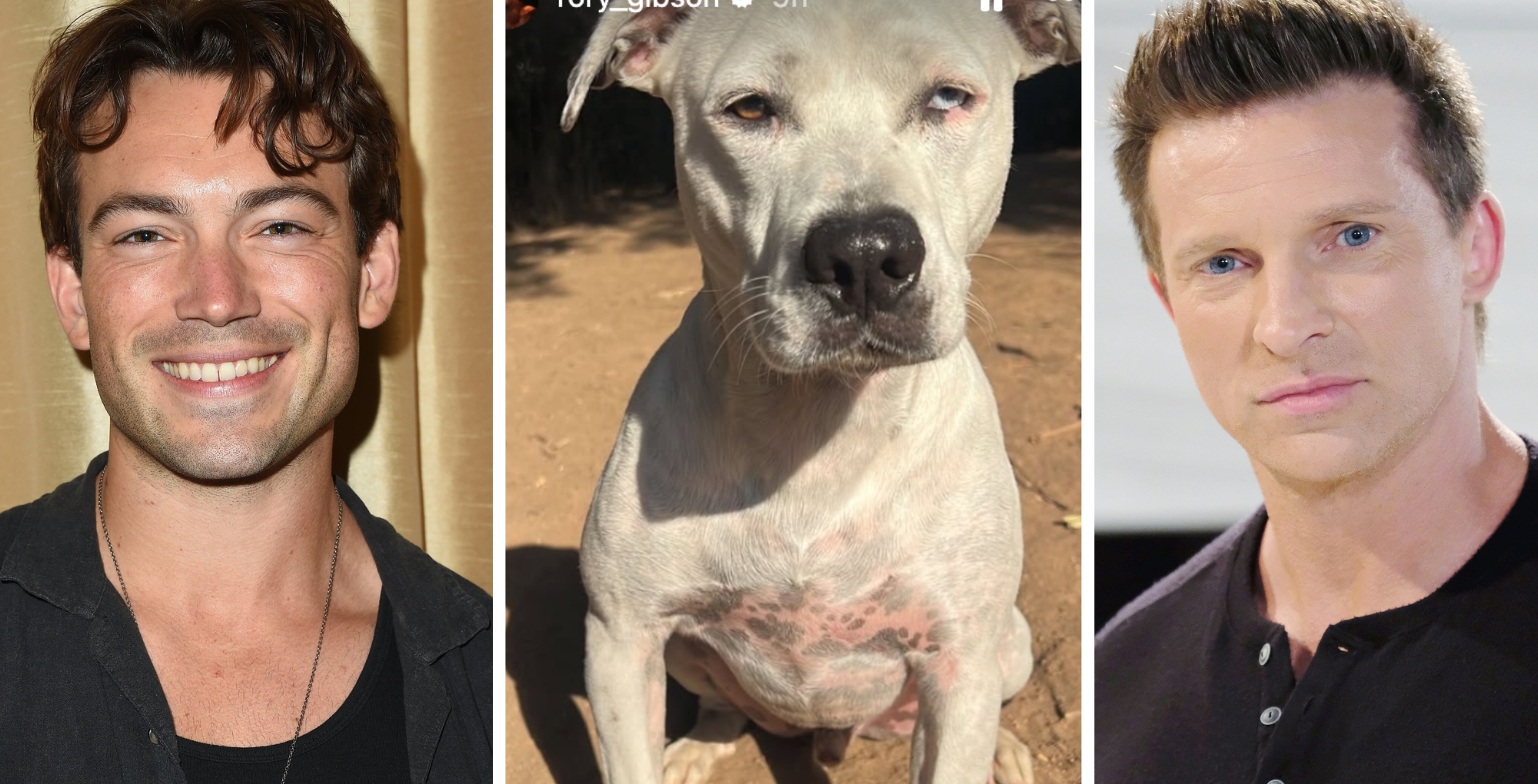 General Hospital's Rory Gibson, Cloud, and Steve Burton.
