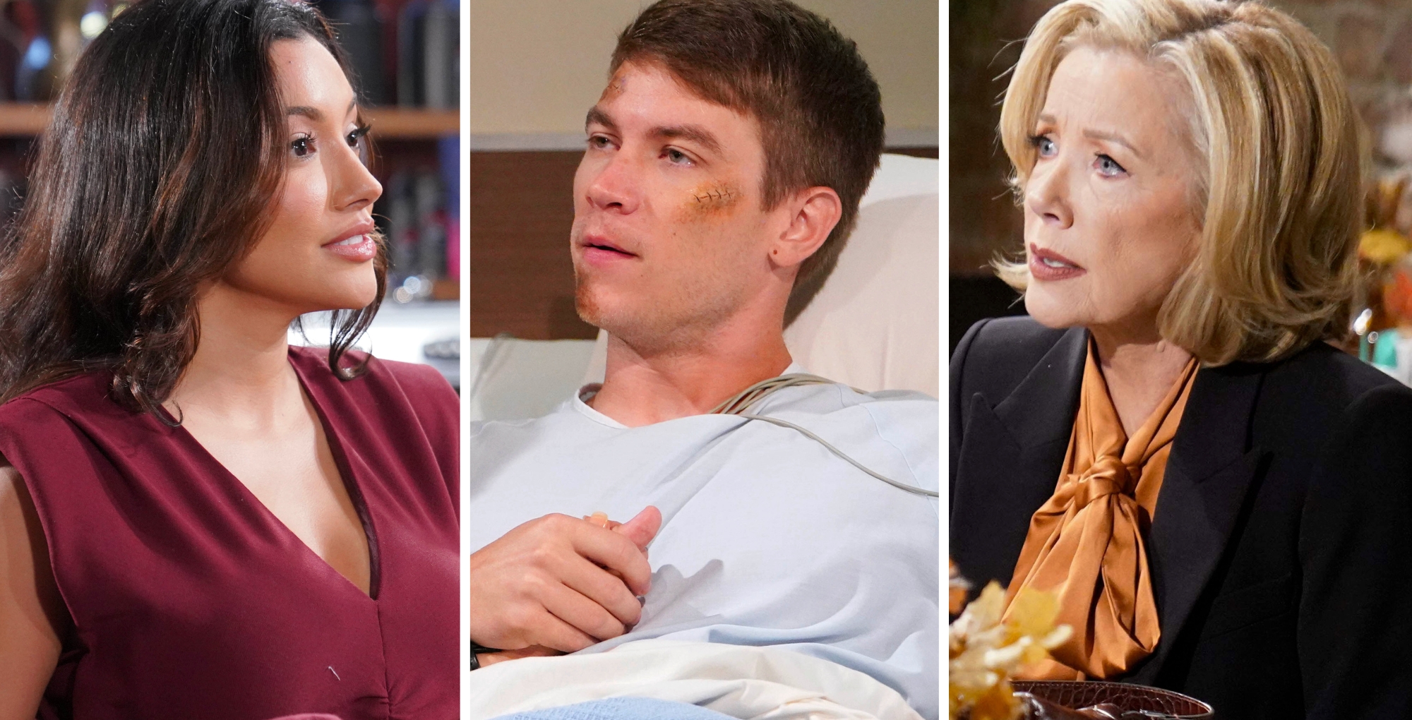 Young and the Restless Spoilers Weekly Update November 17–21 Audra, Noah, and Nikki.