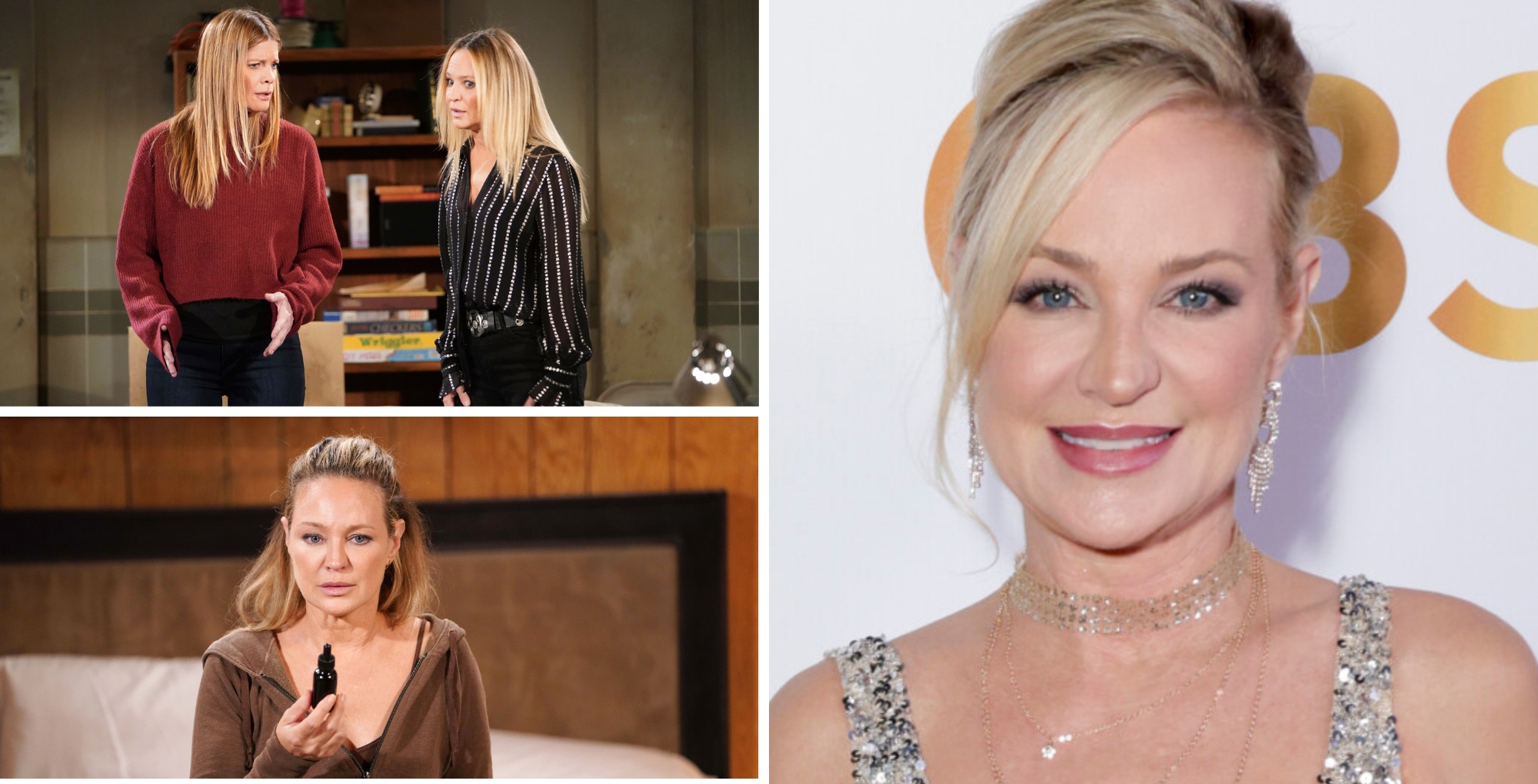 Sharon Case is Soap Hub's Performer of the Year for The Young and. the Restless.