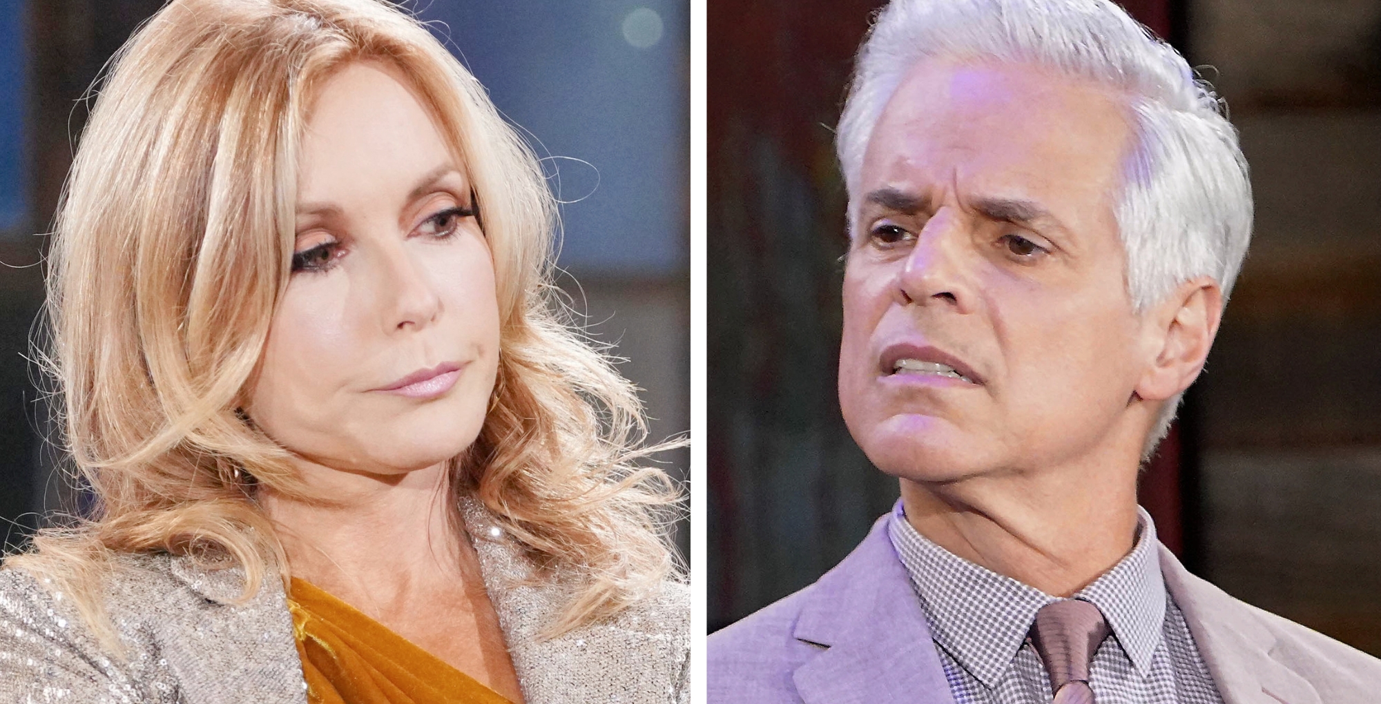 Young and the Restless Spoilers December 26 Lauren and Michael.