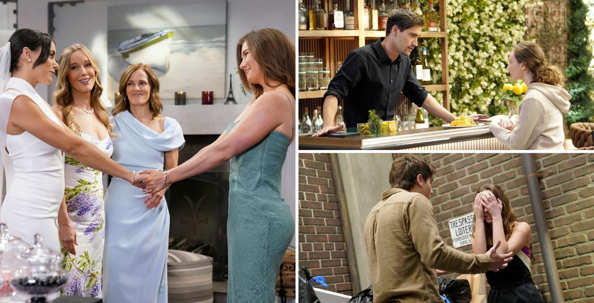 Bold and the Beautiful spoilers video February 9-15.