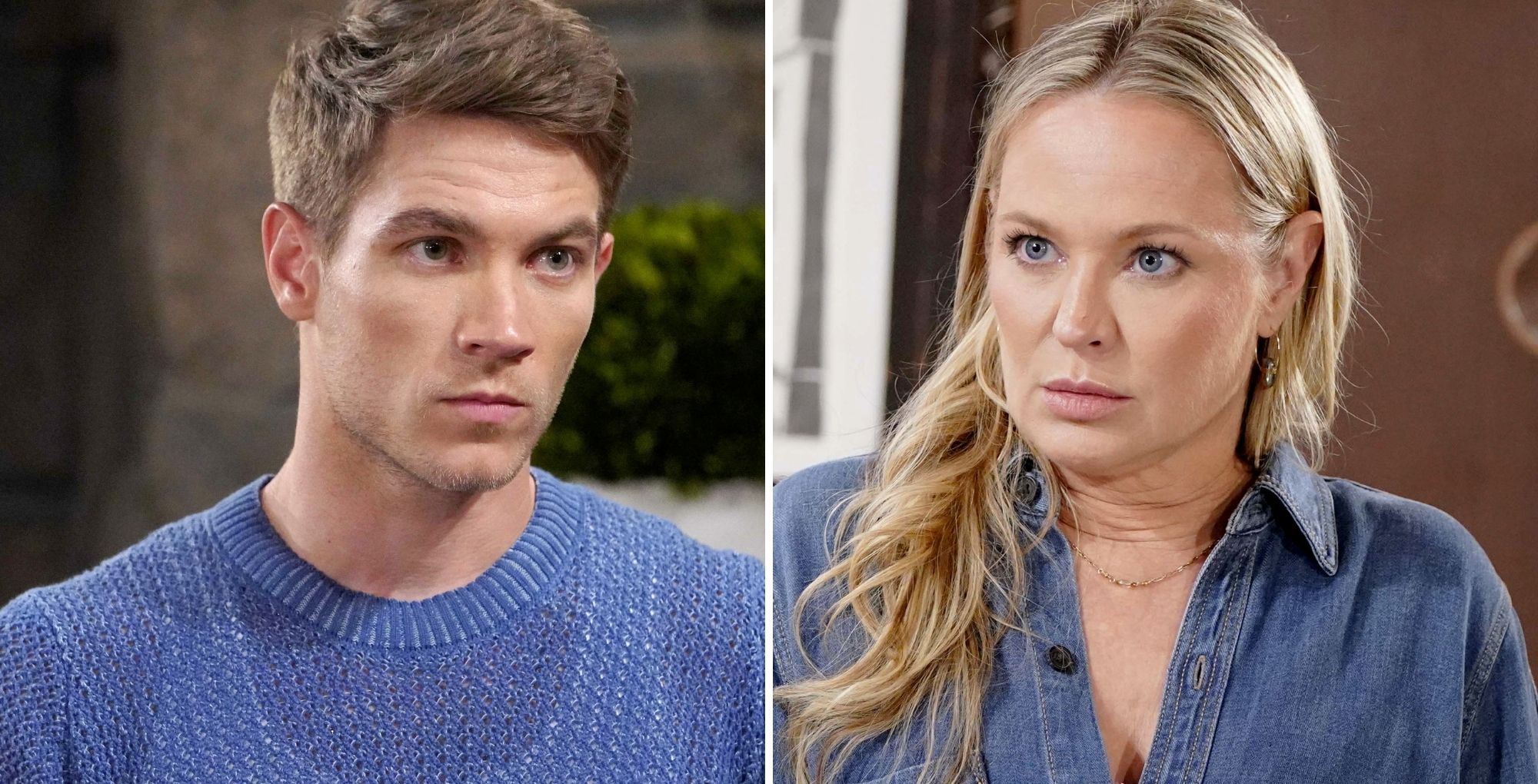Young and the Restless Noah and Sharon.
