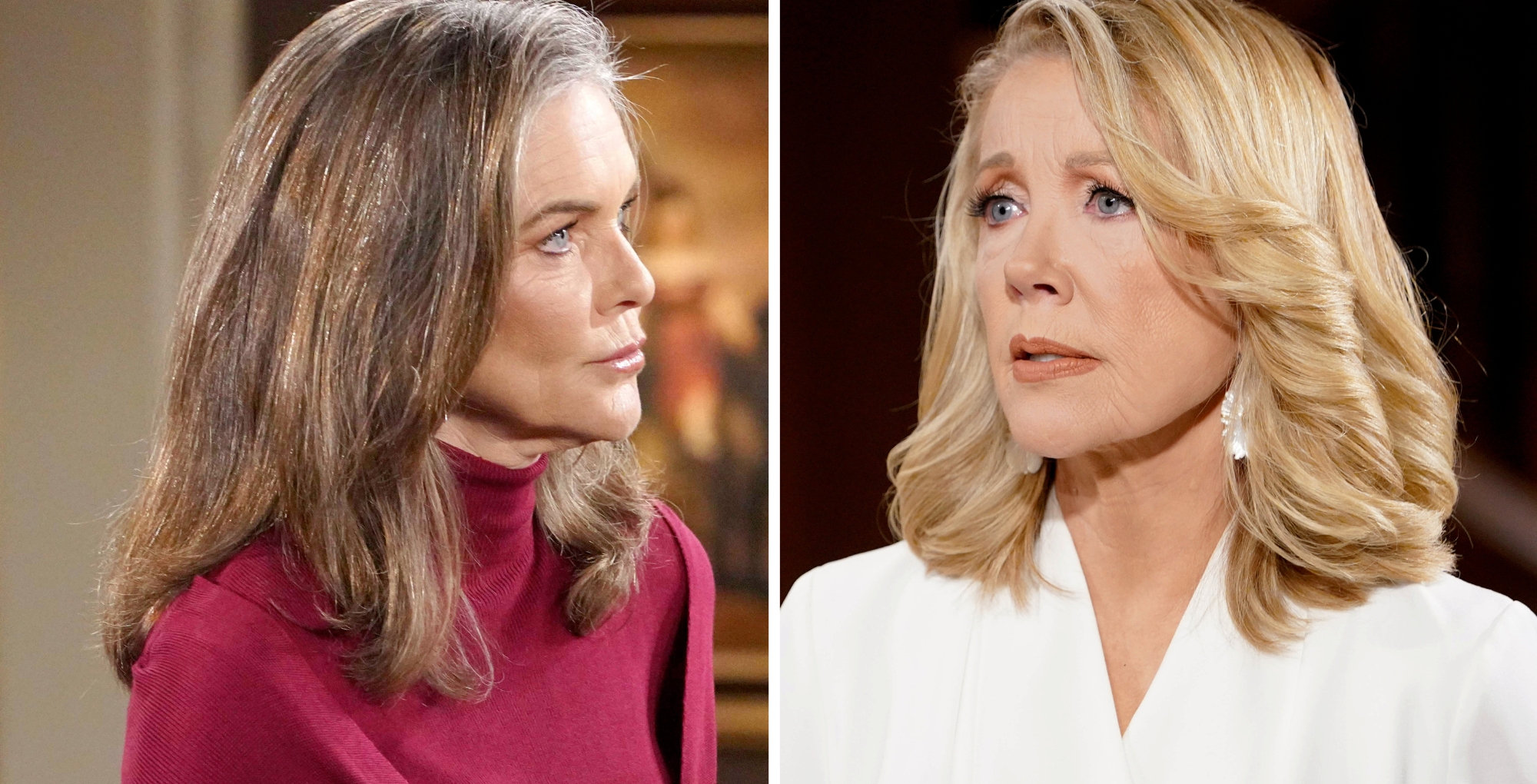 Young and the Restless Spoilers April 14 Diane and Nikki.