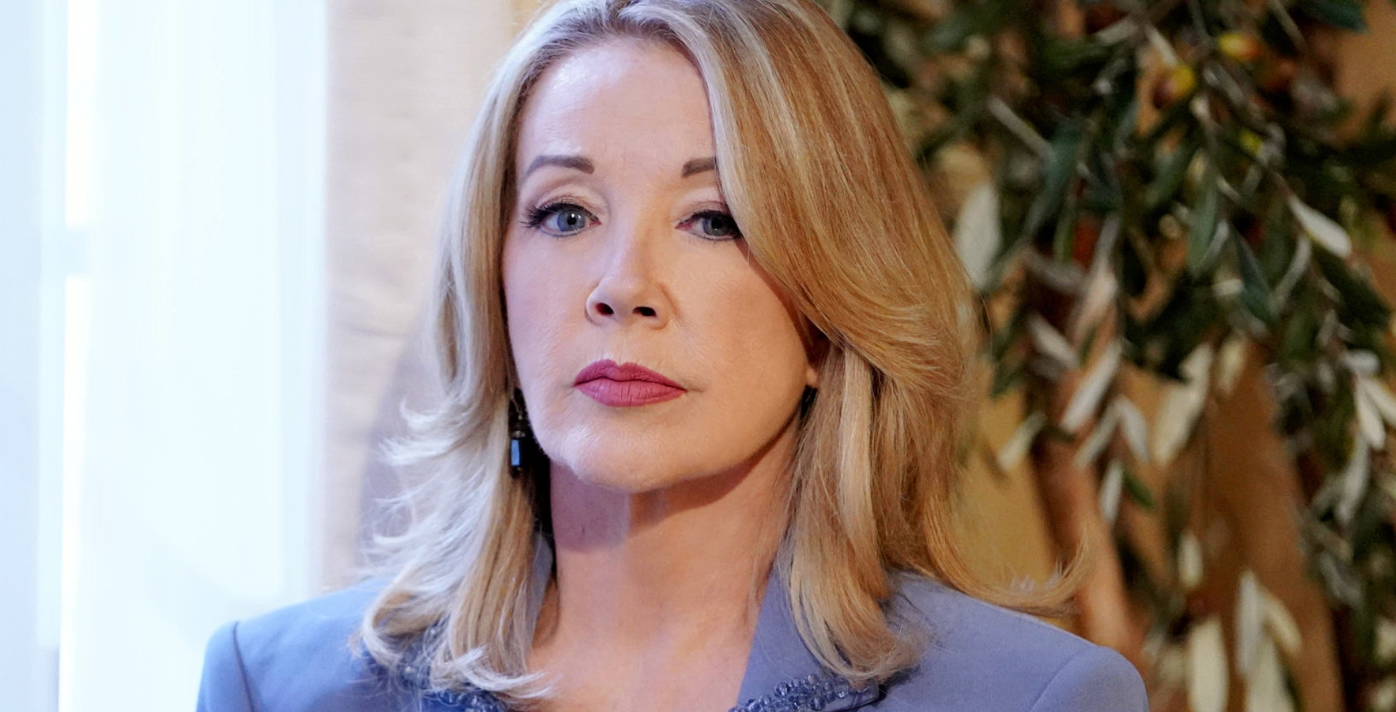 Young and the Restless' Nikki Newman